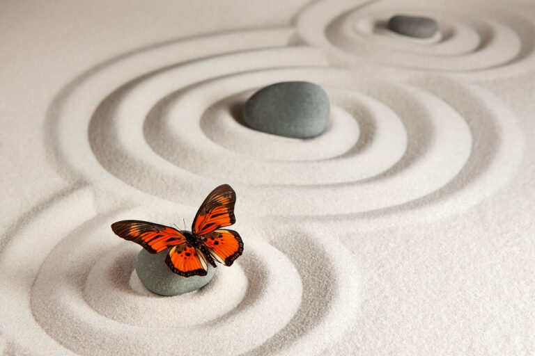 Deep Transformational Coaching of butterfly on one of three grey stones in circles on sand